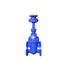 Electric power cast iron gate valve pn10